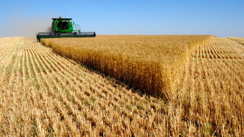 La France va devoir rembourser 1 milliard d’euros d’aides agricoles à l’UE