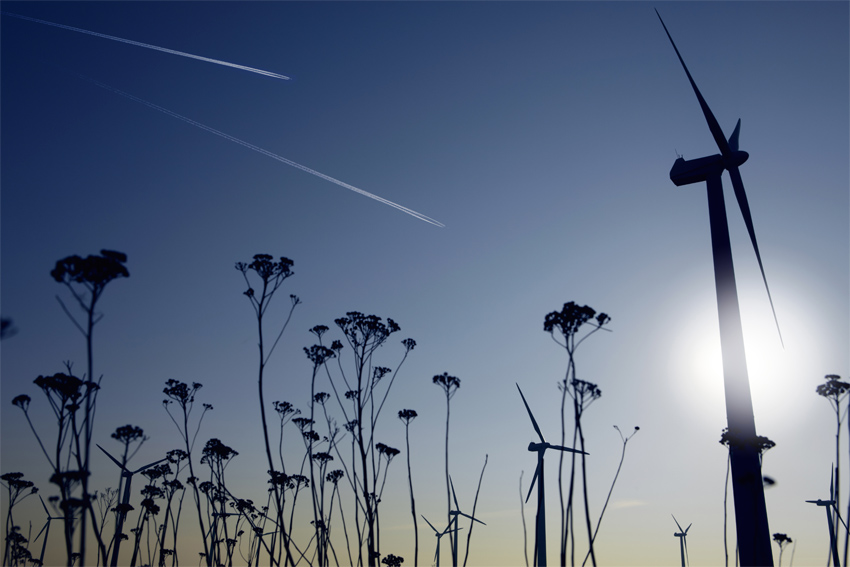 Loi sur la transition énergétique : quels progrès pour la France un an après ? 