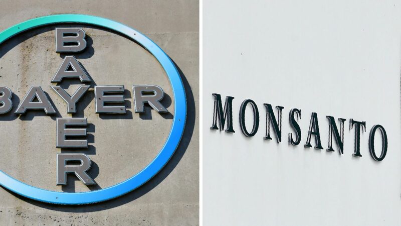 Bayer rachète Monsanto pour 59 milliards d’euros