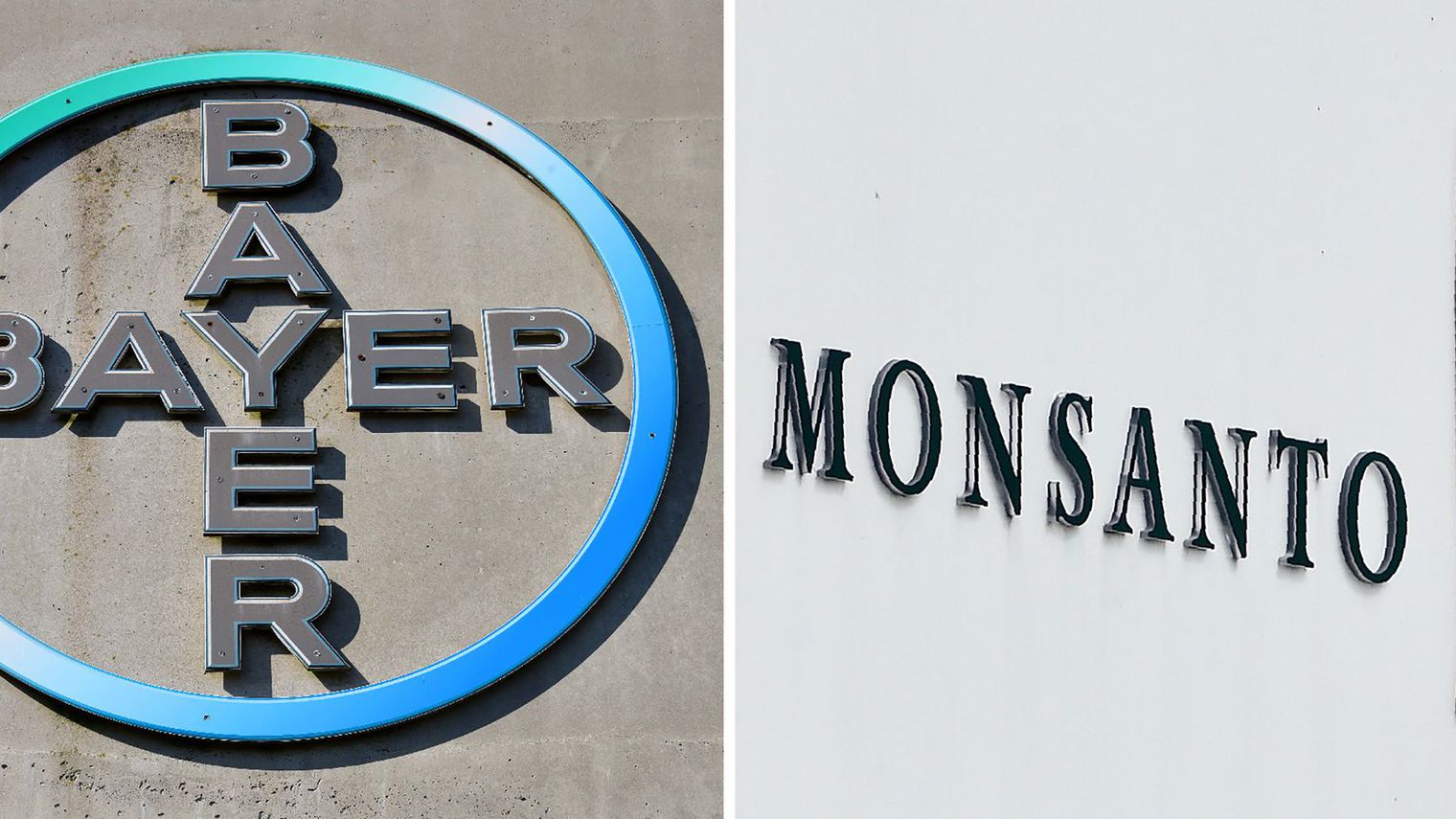 Bayer rachète Monsanto pour 59 milliards d’euros