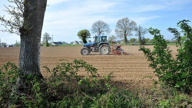 France : l’agriculture, secteur économique mal-aimé ?