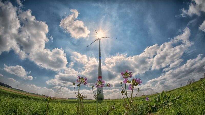 L’Occitanie veut consommer 100% d’énergies renouvelables d’ici 2050