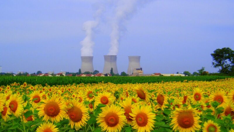 Nucléaire en France : des refontes stratégiques pour des emplois à la clé !