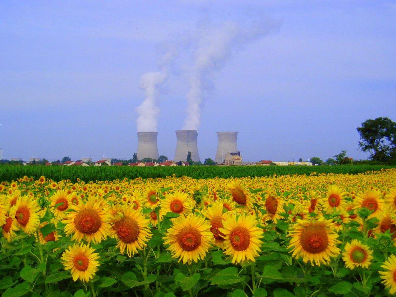 Nucléaire en France : des refontes stratégiques pour des emplois à la clé !