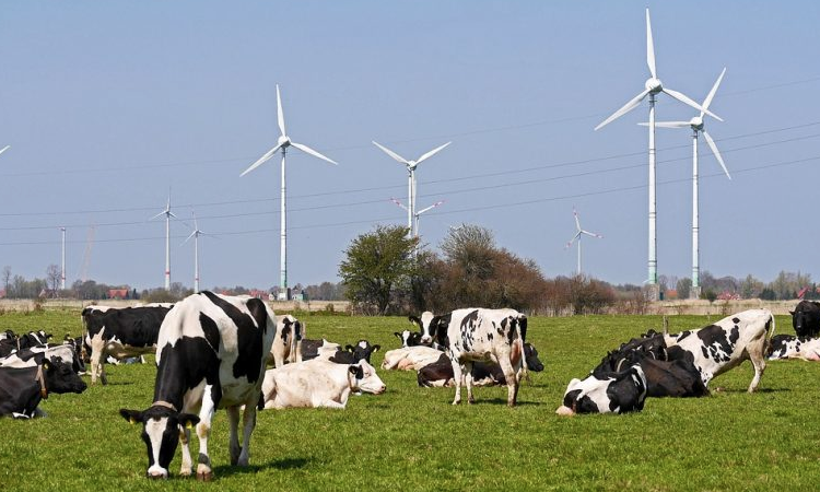 Installation d’éoliennes ou de parc photovoltaïque : l’épineuse question du foncier…