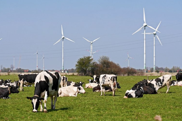 Installation d’éoliennes ou de parc photovoltaïque : l’épineuse question du foncier…