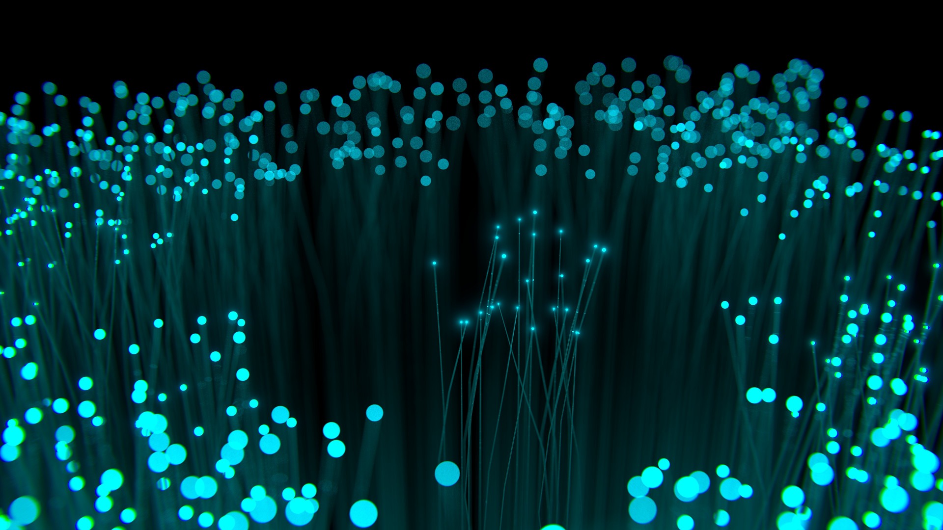 Céleste : acteur stratégique de la fibre optique pour les TPE/PME